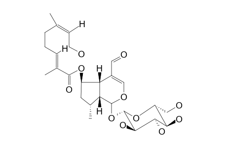 OVATUSIDE-6-O-(8''-HYDROXY-2'',6''-DIMETHYL-2''(E),6''(Z)-OCTADIENOYL)-6-BETA-HYDROXYBOSCHNALOS