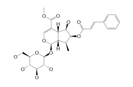 7-O-TRANS-CINNAMOYL-7-BETA-HYDROXYLOGANIN