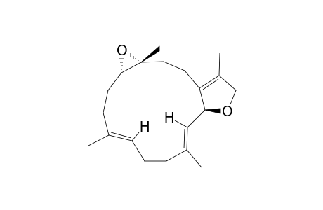 (2S,11R,12R)-ISOSACROPHYTOXIDE