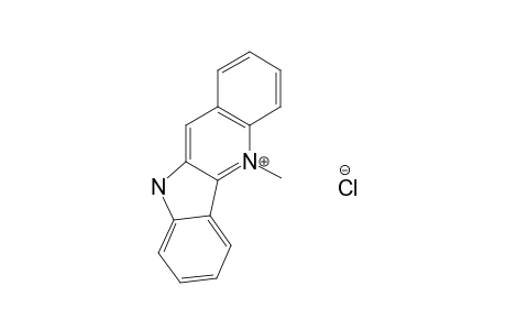 CRYPTOLEPINE.HYDROCHLORIDE