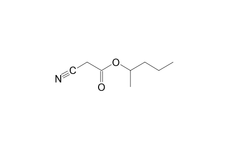 cyanoacetic acid, 1-methylbutyl ester