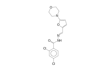 2,4-bis(chloranyl)-N-[(E)-(5-morpholin-4-ylfuran-2-yl)methylideneamino]benzamide