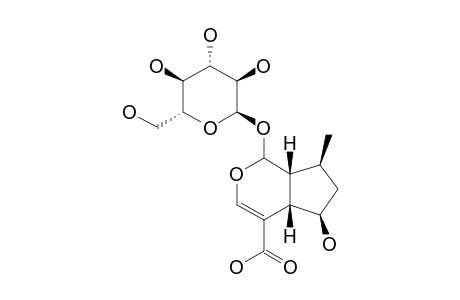 6-BETA-DIHYDROCORNIC-ACID