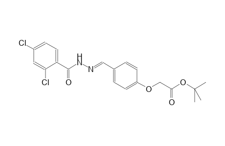 tert-butyl (4-{(E)-[(2,4-dichlorobenzoyl)hydrazono]methyl}phenoxy)acetate