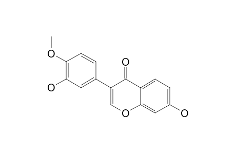 CALYCOSIN