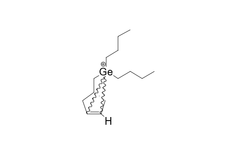 2,2-DI-N-BUTYL-2-GERMANORBORNYL-CATION