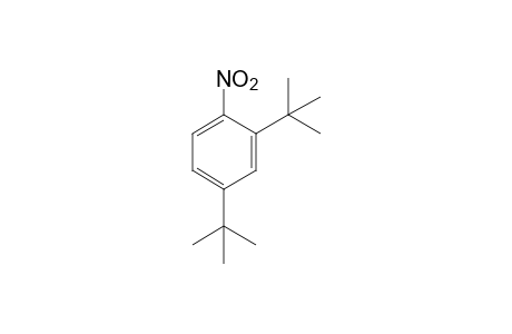 2,4-DI-tert-BUTYL-1-NITROBENZENE