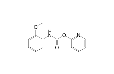 o-methoxycarbanilic acid, 2-pyridyl ester