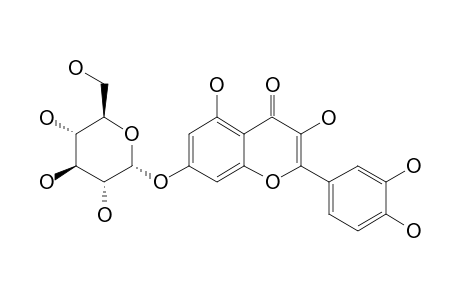 QUERCETIN-7-GLUCOSIDE