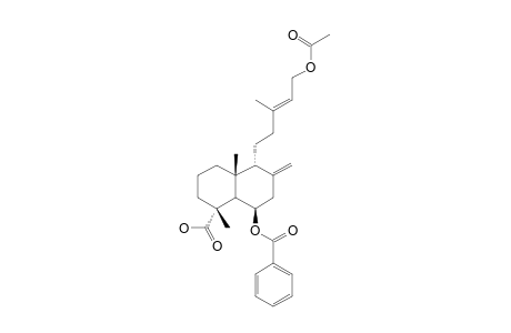 SCOPARIC-ACID-A-MONOACETATE;6-BENZOYL-12-METHYLOXYCARBONYL-LABDA-8(17),13-DIEN-18-OIC-ACID