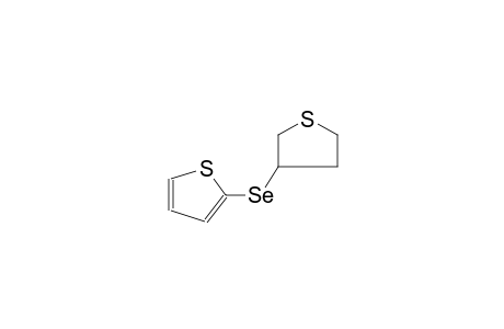 3-(2'-Thienylseleno)-tetrahydrothiophene