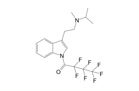 MiPT HFB