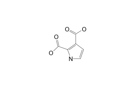 1H-PYRROLE-2,3-DICARBOXYLIC-ACID