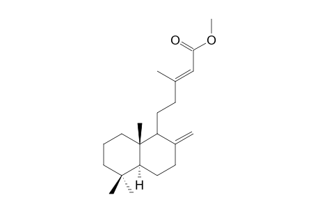 METHYL-COPAIFERATE