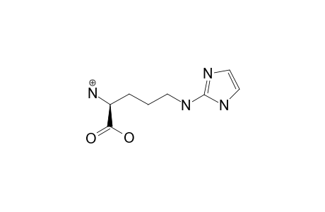 (S)-2-AMINO-5-(IMIDAZOL-2-YLAMINO)-PENTANOIC_ACID;APP