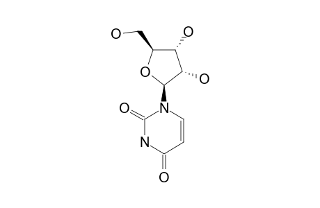 URIDINE;REFERENCE