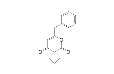 7-BENZYL-OXASPIRO-[3.5]-NON-7-EN-5,9-DIONE