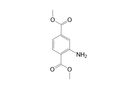 2-aminotetraphthalic acid, dimethyl ester