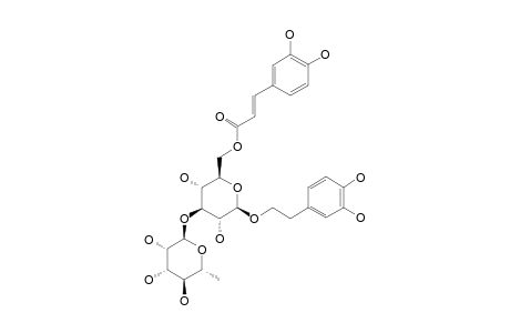 ISOACTEOSIDE;FRACTION-II