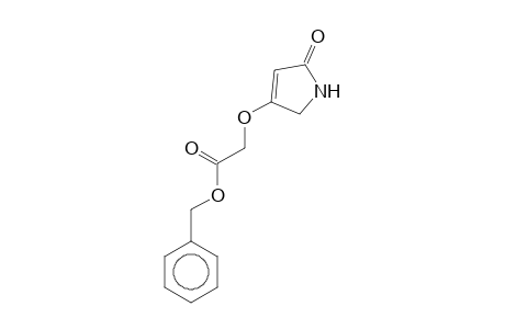 (5-Oxo-2,5-dihydro-1H-pyrrol-3-yloxy)acetic acid, benzyl ester