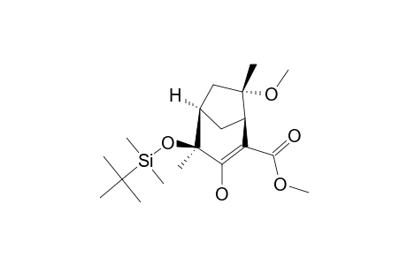 (1R,4S,5R,7S)-4-(TERT.-BUTYLDIMETHYLSILANYLOXY)-3-HYDROXY-7-METHOXY-4,7-DIMETHYL-BICYCLO-[3.2.1]-OCT-2-ENE-2-CARBOXILIC-ACID-METHYLESTER