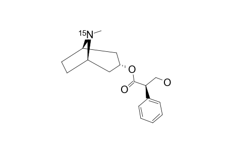 [(15)-N]-HYOSCYAMINE