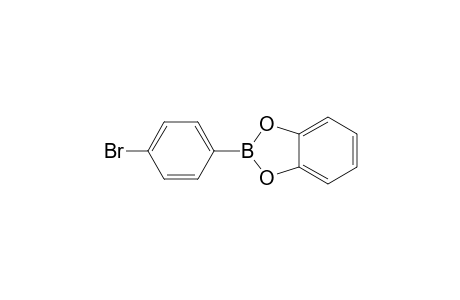 2-(4-bromophenyl)-1,3,2-benzodioxaborole