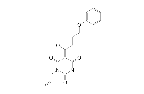 EXO-ENOL-TAUTOMER-1