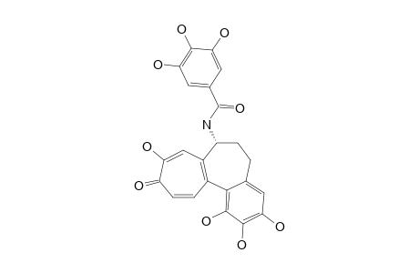 1,2,3,9-TETRA-O-DEMETHYL-N-(3',4',5'-TRIHYDROXYBENZOYL)-DEACETYLISOCOLCHICINE