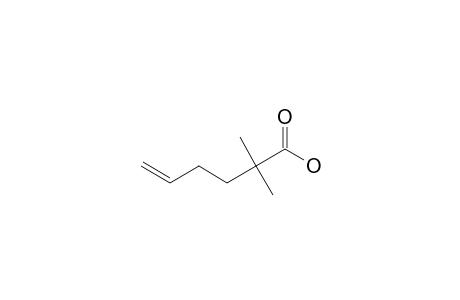 2,2-DIMETHYL-HEX-5-ENOIC-ACID