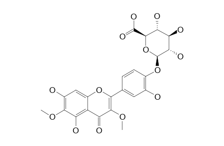 5,7,3'-TRIHYDROXY-3,6-DIMETHOXY-4'-O-GLUCURONOPYRANOSYL-FLAVONE