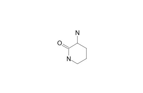 L-ORNITINE-DELTA-LACTAM