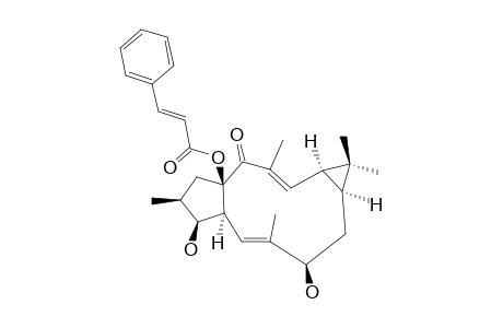 15-BETA-CINNAMOYLOXYLATHR-5-E,12-E-DIENE-3-BETA,7-BETA-DIOL-14-ONE