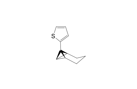 2-(Tricyclo[4.1.0.0(2,7)]hept-1-yl)thiophene