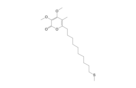 LEHUALIDE_I