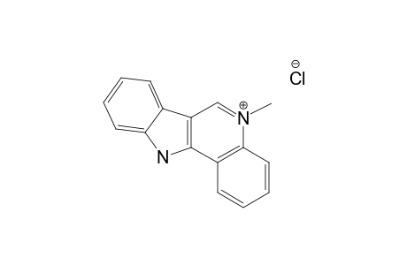 ISOCRYPTOLEPINE-HYDROCHLORIDE-SALT;5-METHYL-5H-INDOLO-[3,2-C]-QUINOLINE-HYDROCHLORIDE-SALT