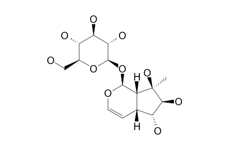 PHYSOSIDE