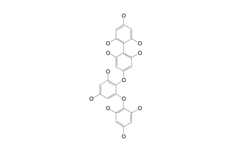 4-(2''-(2''',4''',6'''-TRIHYDROXY-PHENOXY)-4'',6''-DIHYDROXY-PHENOXY)-2,2',4',6,6'-PENTAHYDROXY-BIPHENYL