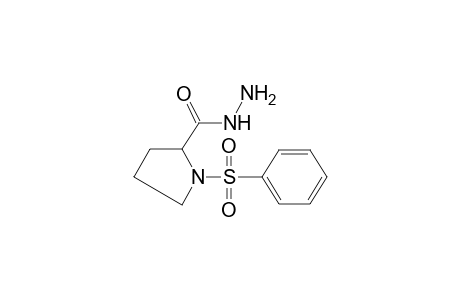 Pyrrolidine-2-carbohydrazide, 1-phenylsulfonyl-