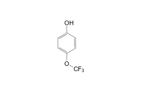 4-(Trifluoromethoxy)phenol