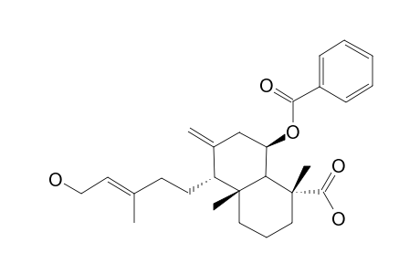 SCOPARIC-ACID-A;6-BENZOYL-12-HYDROXY-LABDA-8(17),13-DIEN-18-OIC-ACID