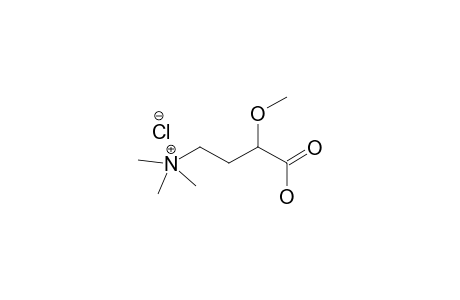 (+/-)-2-METHOXY-GAMMA-AMINOBUTYRIC_ACID_BETAINE_METHYLESTER_CHLORIDE