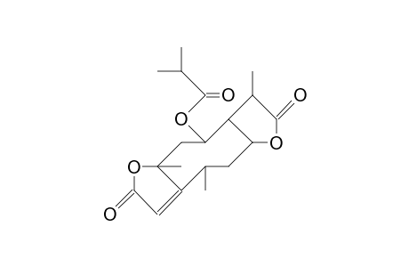 Photo tetrahydro-zexbrevin C