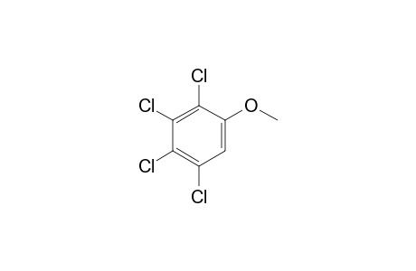 2,3,4,5-Tetrachloroanisole