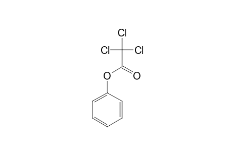 Phenyl trichloroacetate