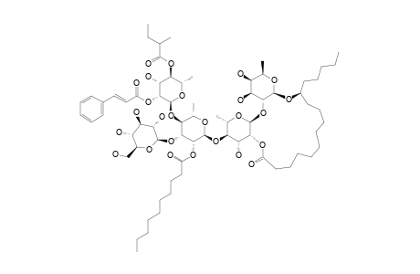 PURGINOSIDE_I