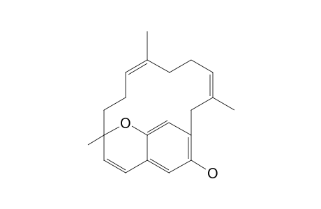 LONGITHOROL-E