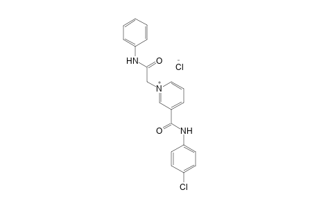 3-[(p-CHLOROPHENYL)CARBAMOYL]-1-[(PHENYLCARBAMOYL)METHYL]PYRIDINIUM CHLORIDE