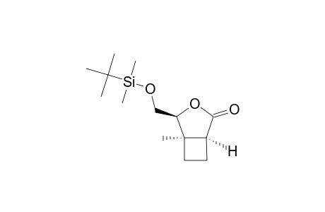 (1S,4S,5R)-4-TERT.-BUTYLDIMETHYLSILYLOXYMETHYL-5-METHYL-3-OXABICYCLO-[3.2.0]-HEPTAN-2-ONE