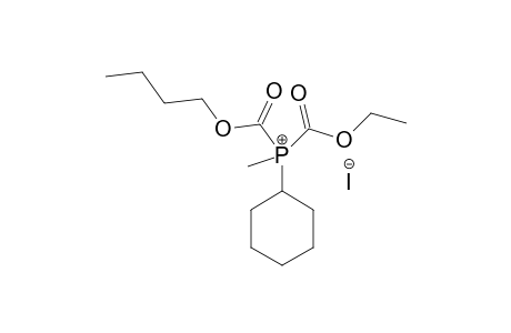 BUTYLOXYCARBONYL,ETHYLOXYCARBONYL-CYCLOHEXYLPHOSPHANE-METHIODIDE